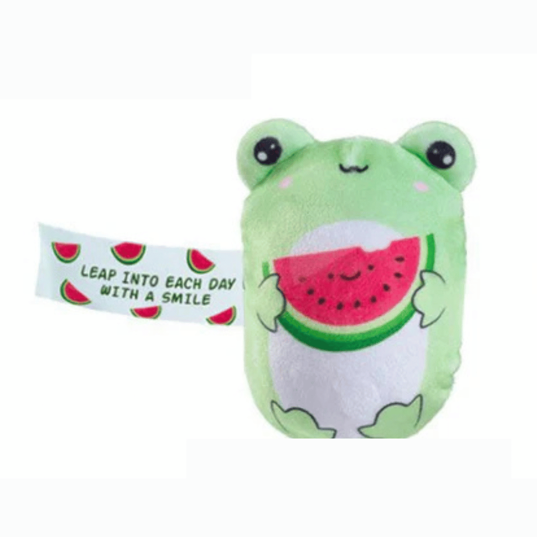 Bubble Stuffed Squishy Friends - Emotional Support Edition (Gigi the Frog)